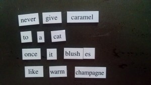 magnetic poem 4